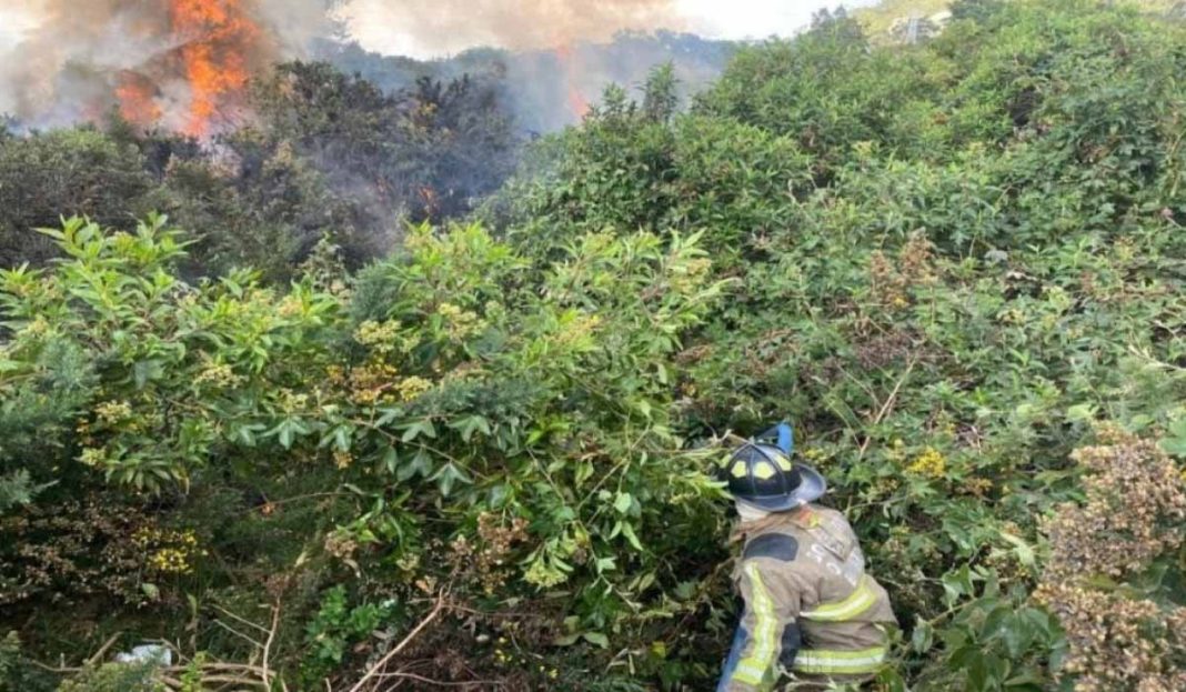 Por Qu Se Cre El Incendio En Cerros Orientales De Bogot