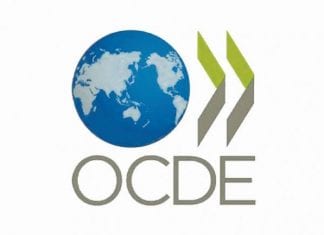 Informalidad y productividad laboral, principales desafíos económicos de Colombia según la Ocde