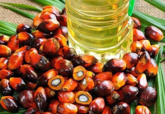 Aceite de palma, entre los productos que más exportó Colombia en 2018