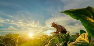 Bbva Colombia lanzó crédito sostenible para el agro