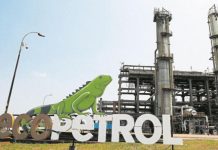 Ecopetrol entregó su hoja de ruta para las ventas de gas natural de los próximos años