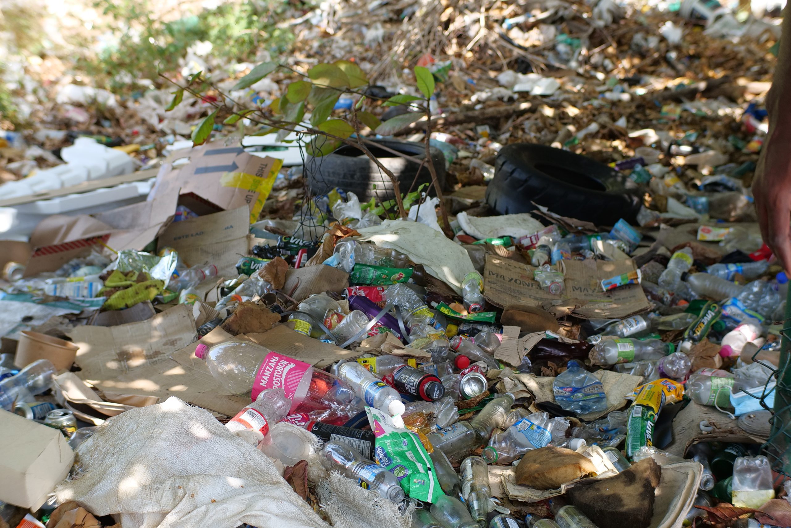 Reciclave ha aumentado en un 82% la recolección de materiales aprovechables en San Andrés y Providencia