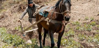 Campesinos de Colombia protestan.