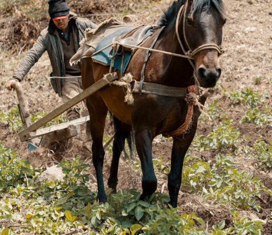 Campesinos de Colombia protestan.