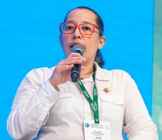 Belizza Ruiz, exviceministra de Energía de Colombia.