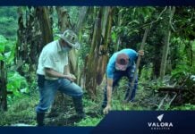 Trabajadores del agro colombiano