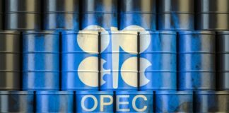 OPEP mantuvo alza en demanda de petróleo para 2023; espera que más rubos también suban