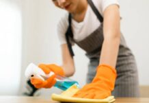 Prima de servicios a las empleadas domésticas