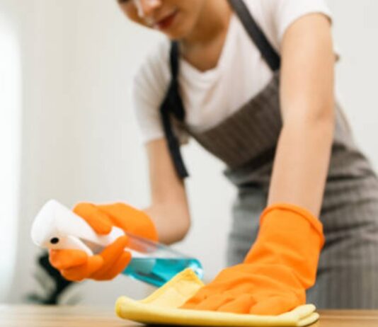 Prima de servicios a las empleadas domésticas