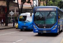 Buses transporte público