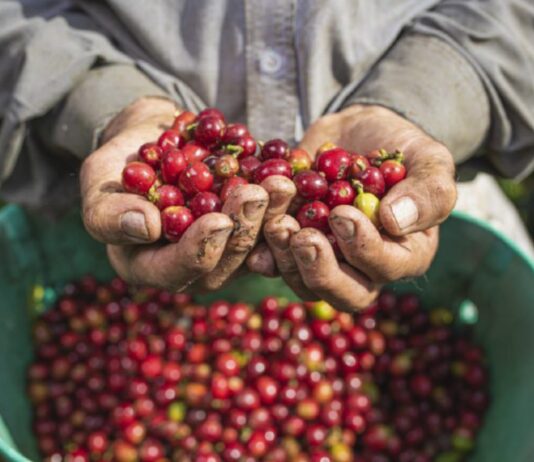 Café de Colombia