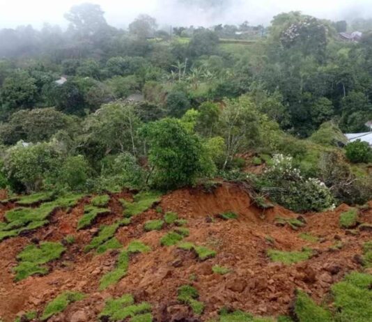 Deslizamiento en Rosas Cauca en vía Panamericana