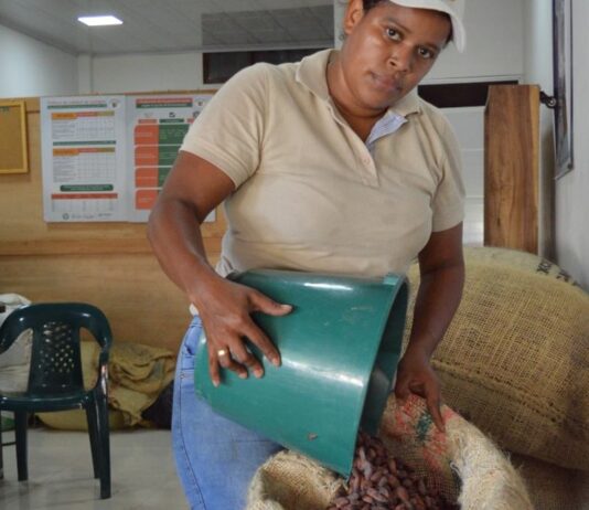 Mondelēz busca producir de manera sostenible el cacao para su chocolate