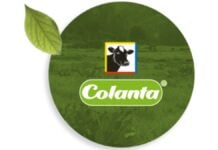 Colanta