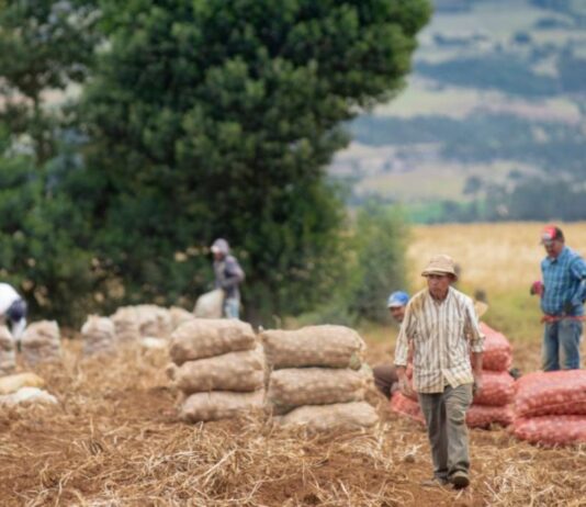 Estos fueron los alimentos que más subieron de precio en Colombia en febrero