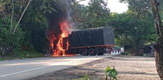 Vehiculos incinerados en el Bajo Cauca