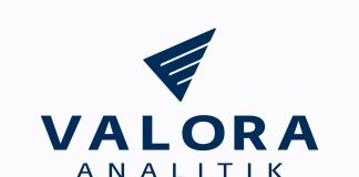 Logo Valora Analitik