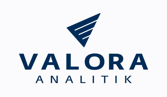 Logo Valora Analitik