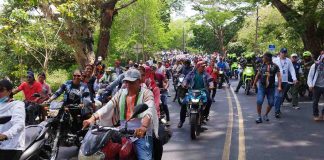 Bajo Cauca (Antioquia)