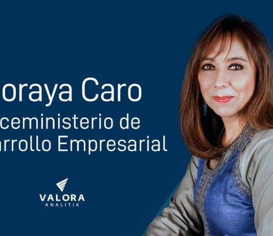 Viceministerio de Desarrollo Empresarial de Colombia