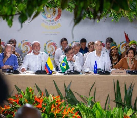 Camino a la Cumbre Amazónica, hubo un encuentro técnico- científico entre Brasil y Colombia.