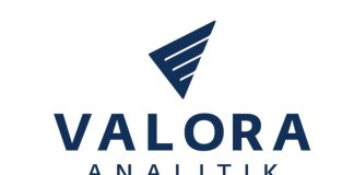 Logo Valora Analitik