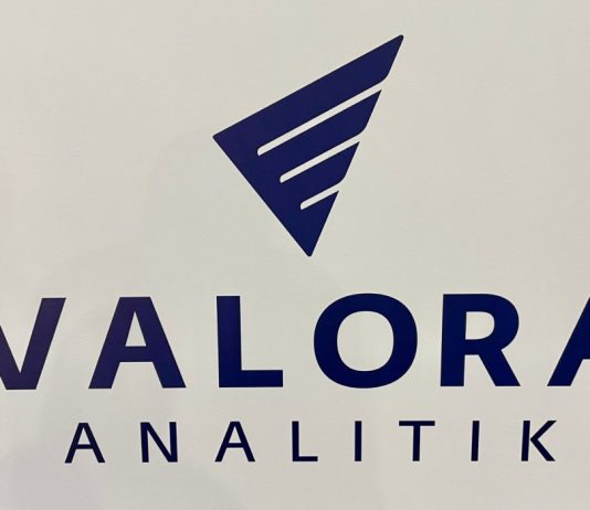 Valora Analitik