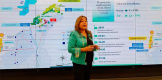 Elsa Janeth Jaimes, vicepresidenta de Exploración de Ecopetrol