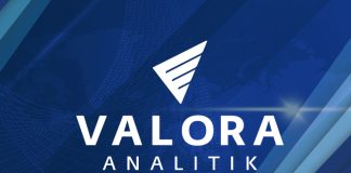 Valora Analitik