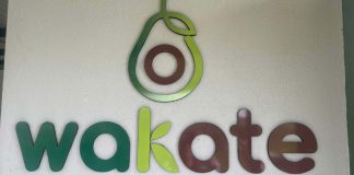 Wakate, empresa de exportación y sostenibilidad.