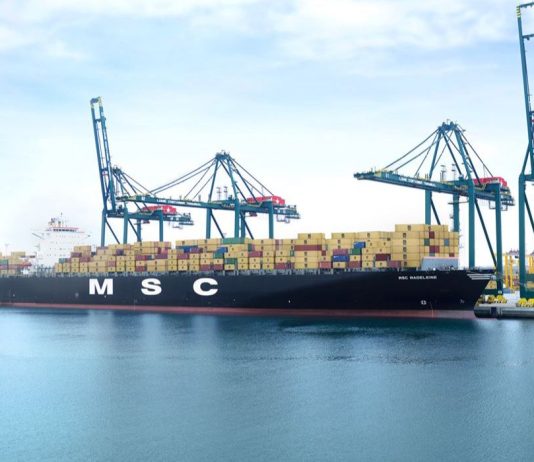 MSC suspende tránsito por el Mar Rojo