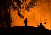 Incendios en Bogotá enero de 2024