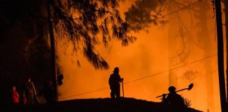 Incendios en Bogotá enero de 2024