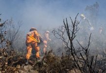 Incendios Bogotá