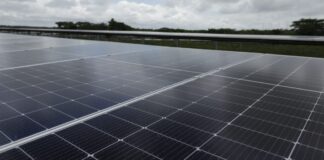 Este es el nuevo parque de energía solar en Córdoba (Colombia)