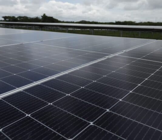 Este es el nuevo parque de energía solar en Córdoba (Colombia)