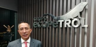 Entre baraja de posibilidades, Ecopetrol revisa futuro de su proyecto en Permian de Estados Unidos