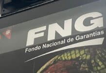 Logo del Fondo Nacional de Garantías (FNG)