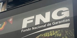 Logo del Fondo Nacional de Garantías (FNG)