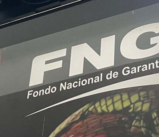 Logo del Fondo Nacional de Garantías (FNG)