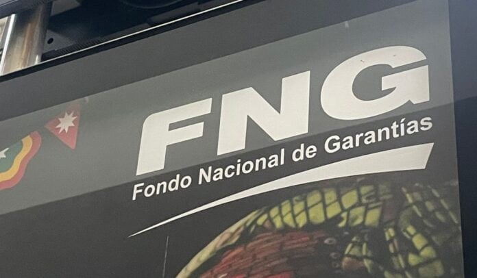 Logo del Fondo Nacional de Garantías (FNG)