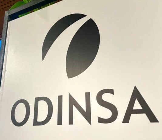 Logo de Odinsa