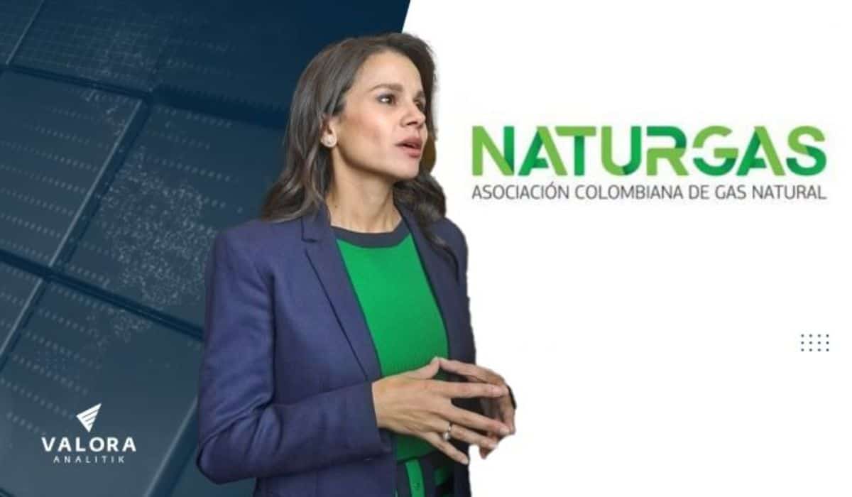 Naturgas pide reglas definitivas para la comercialización del gas importado en Colombia