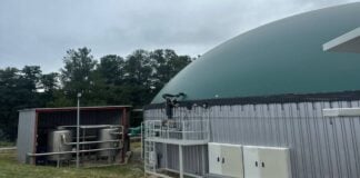 Biometano y biogas