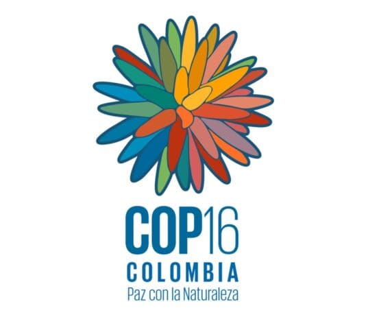 COP16