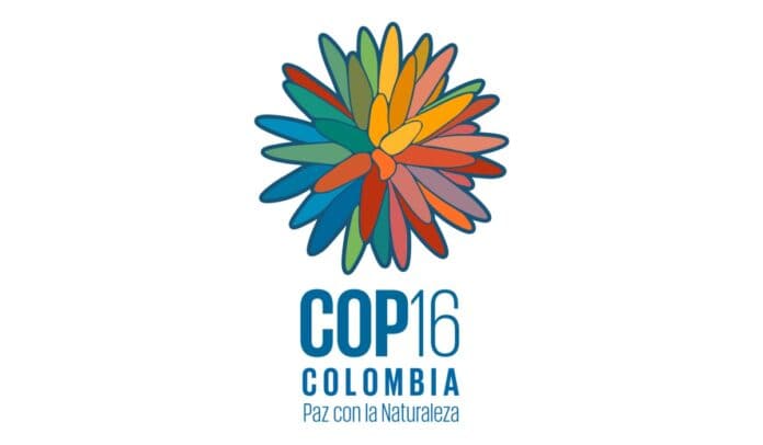 COP16