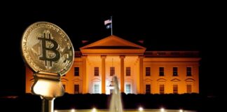 Bitcoin alcanzó récord: Reelección de Donald Trump sigue impulsando las criptomonedas