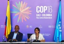 COP16: Se lanzó la Coalición Paz con la Naturaleza que busca proteger la biodiversidad en el cambio climático