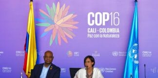 COP16: Se lanzó la Coalición Paz con la Naturaleza que busca proteger la biodiversidad en el cambio climático