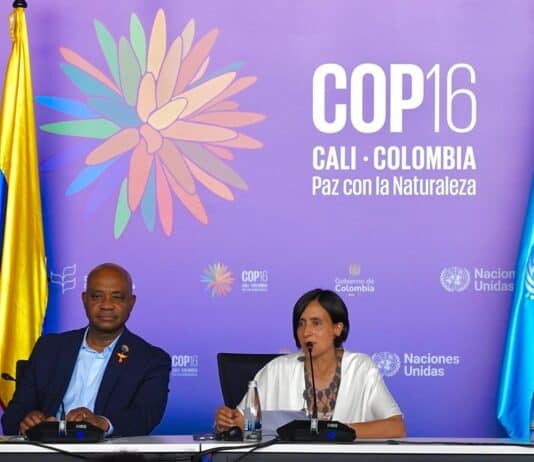 COP16: Se lanzó la Coalición Paz con la Naturaleza que busca proteger la biodiversidad en el cambio climático